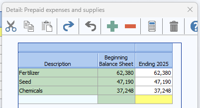 Screenshot of 'Prepaid Expenses and Supplies' detail for monthly and annual cash flow. Shows the difference in beginning balance sheet values and ending balance sheet values. 