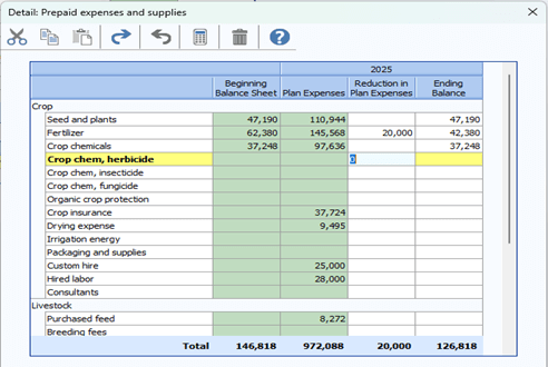 Screenshot of 'Prepaid Expenses and Supplies' detail for monthly cash flow with budgets. Highlights a $20,000 total 'Reduction in Plan Expenses'.