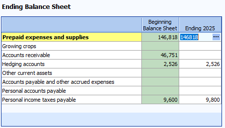 Screenshot of 'Ending Balance Sheet' table in the cash flow section of FINPACK. Shows the difference in beginning balance sheet values and ending balance sheet values. 