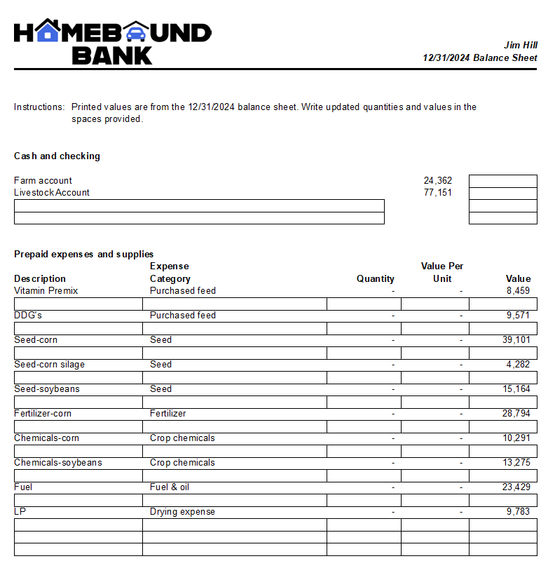 Screenshot of FINPACK Balance Sheet Input worksheet