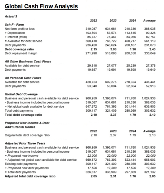 Screenshot of FINPACK Global Cash Flow analysis