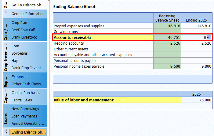 Screenshot of Ending Balance Sheet in FINFLO in FINPACK