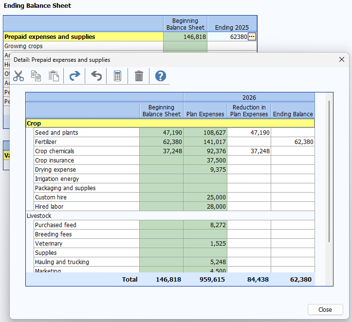 Screenshot of Ending Balance Sheet in FINFLO in FINPACK